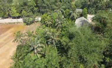 TANAH INDUSTRI COCOK UNTUK KAWASAN DI LEBAK BANTEN  AKSES KONTAINER