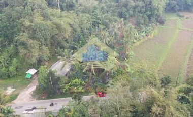 TANAH INDUSTRI COCOK UNTUK KAWASAN DI LEBAK BANTEN  AKSES KONTAINER