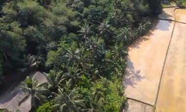 TANAH INDUSTRI COCOK UNTUK KAWASAN DI LEBAK BANTEN  AKSES KONTAINER