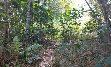 TANAH INDUSTRI COCOK UNTUK KAWASAN DI LEBAK BANTEN  AKSES KONTAINER