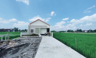 Dikontrakkan Rumah baru View Sawah di seputaran utara Kampus UGM Jln K
