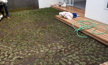 Dikontrakkan Rumah baru View Sawah di seputaran utara Kampus UGM Jln K