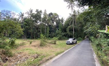 Cocok Hunian, 157 Juta Dapat Tanah SHM di Sleman Jogja