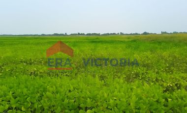 Dijual Tanah di Gempoltumloko Lamongan 3 menit dari Kantor Desa