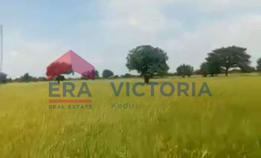 Dijual Tanah di Gempoltumloko Lamongan 3 menit dari Kantor Desa