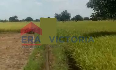 Dijual Tanah di Gempoltumloko Lamongan 3 menit dari Kantor Desa