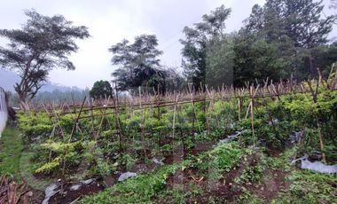 Tanah Dengan View Terbaik di Panorama Lembang Ada Mata Air