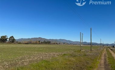 Agrícola en Venta en Peralillo