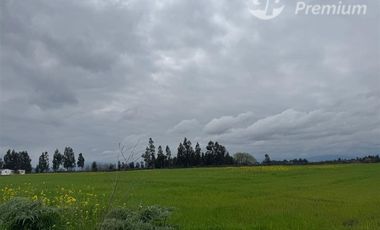 Agrícola en Venta en Peralillo