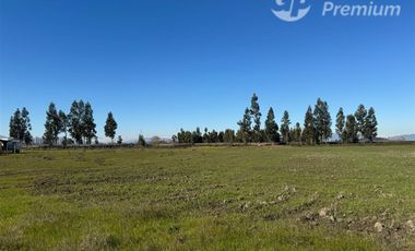 Agrícola en Venta en Peralillo