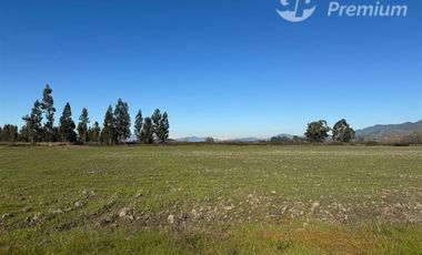 Agrícola en Venta en Peralillo