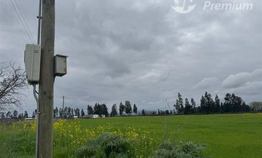 Agrícola en Venta en Peralillo
