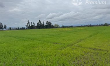 Agrícola en Venta en Peralillo