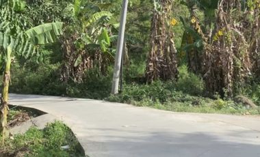 Tanah 27 are di dekat circuit mandalika, view perbukitan spektakuler