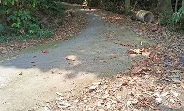 Tanah kontrak dekat nyanyi buit