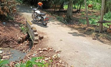 Tanah kontrak dekat nyanyi buit