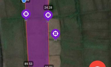 Tanah kontrak dekat nyanyi buit