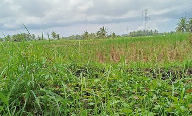 Tanah kontrak dekat nyanyi buit