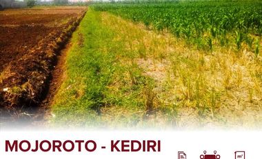 Tanah Sawah DIJUAL Di Komplek Perumahan Dekat Pondok Pesantren Lirboyo