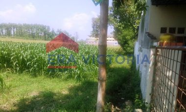 Tanah Sawah DIJUAL Di Komplek Perumahan Dekat Pondok Pesantren Lirboyo