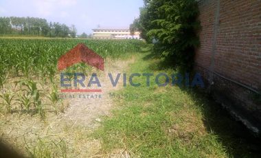 Tanah Sawah DIJUAL Di Komplek Perumahan Dekat Pondok Pesantren Lirboyo