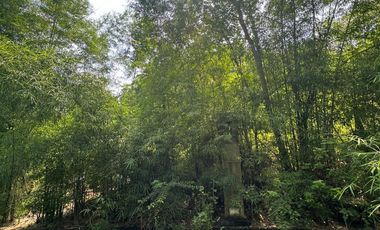 Di Jual Tanah Premium Kawasan Villa Di Jl. Taman Kebo Iwa, Benoa Kuta