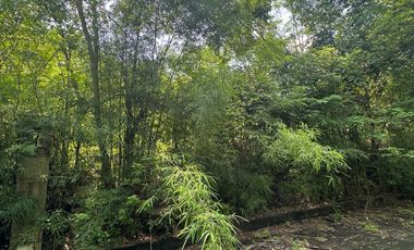 Di Jual Tanah Premium Kawasan Villa Di Jl. Taman Kebo Iwa, Benoa Kuta