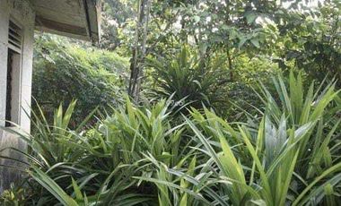 TANAH KOMERSIL SETRATEGIS 2026m² deket jl teuku umar, kartini bekasi k