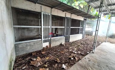 Hunian dan Toko Dijual Cepat di Pare Kediri Pagar Depan & Keliling