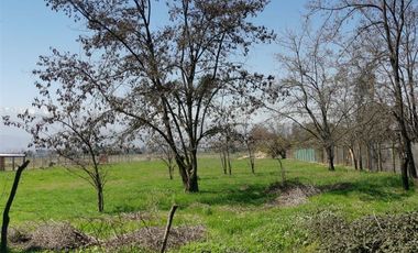 Parcela en Arriendo Colina, Santa Esther