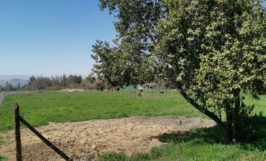 Parcela en Arriendo Colina, Santa Esther