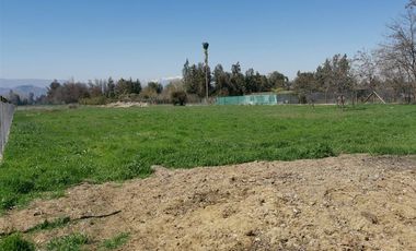 Parcela en Arriendo Colina, Santa Esther