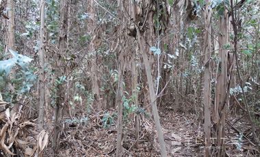 Parcela 5.400 m2. En Venta En Isla De Maipo