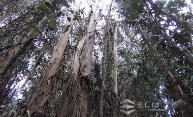 Parcela 5.400 m2. En Venta En Isla De Maipo