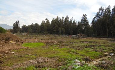 Parcela 5.400 m2. En Venta En Isla De Maipo