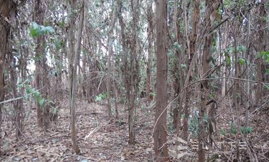 Parcela 5.400 m2. En Venta En Isla De Maipo