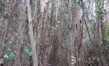 Parcela 5.400 m2. En Venta En Isla De Maipo