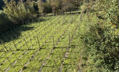 Venta De Casa Sobre Viña En Parcela Vista Al Lago + 3 Ca