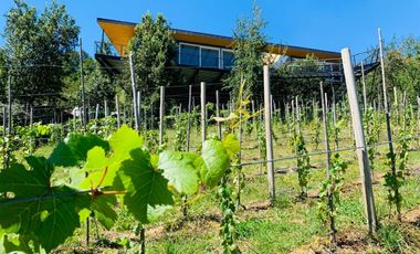 Venta De Casa Sobre Viña En Parcela Vista Al Lago + 3 Ca