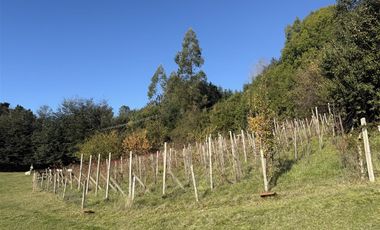 Venta De Casa Sobre Viña En Parcela Vista Al Lago + 3 Ca