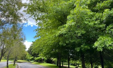 Departamento en arriendo temporal c/ estacionamiento en La Puntilla