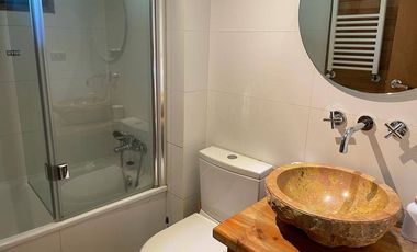 Arriendo diario Casa Camino al Volcán verano e invierno