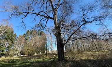 Venta Parcela Villarrica en sector Los Guindos
