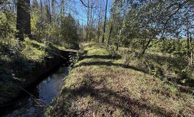 Venta Parcela Villarrica en sector Los Guindos