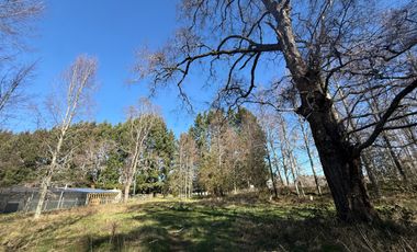 Venta Parcela Villarrica en sector Los Guindos