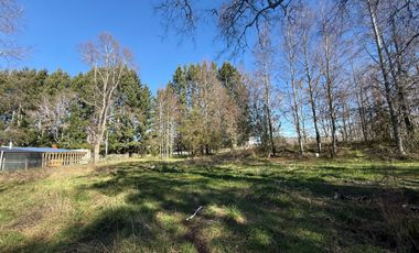 Venta Parcela Villarrica en sector Los Guindos