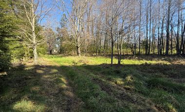 Venta Parcela Villarrica en sector Los Guindos