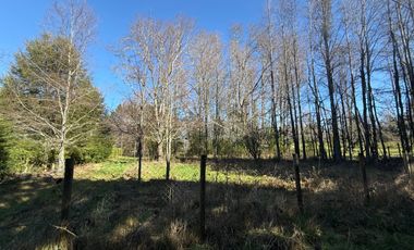 Venta Parcela Villarrica en sector Los Guindos