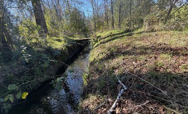 Venta Parcela Villarrica en sector Los Guindos