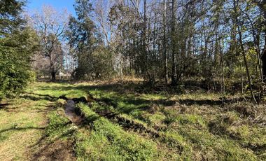 Venta Parcela Villarrica en sector Los Guindos